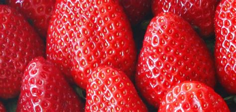 The corporate head office address of dole food company or headquarters (hq) location of dole food company is given with if you are looking how to contact with dole food company corporate headquarters office and customer service department, so you can use the below details to connect. U.S.: Raft of changes may be in store for Dole Food ...