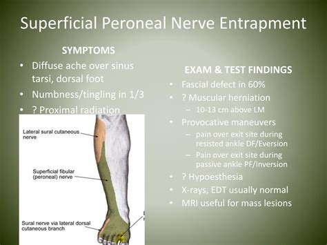 Test For Nerve Damage In Legs Nelofindmy