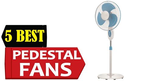 5 Best Pedestal Fans 2023 Best Pedestal Fan Reviews Top 5 Pedestal