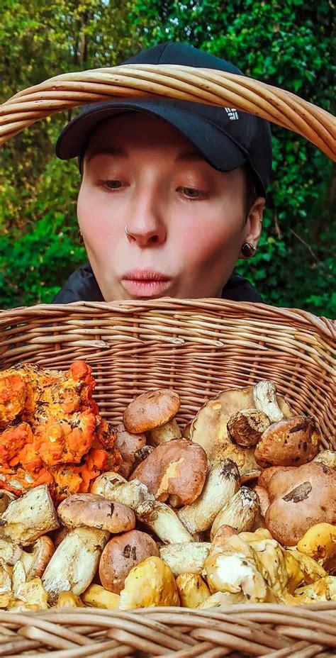 Sustainably Foraging Mushrooms — For Food Manifesting Serenity