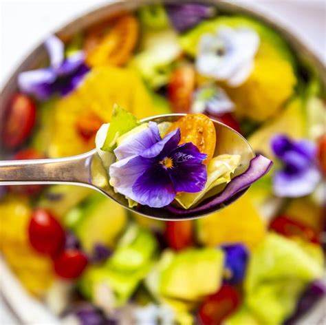 The 10 Best Edible Flowers According To A Nutritionist