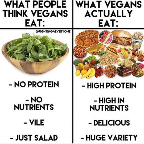 what people think vegans eat vs what vegans actually eat a varied diet rich in nutrients and