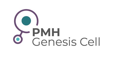 ¿cómo Funcionan Las Células Madre Pmh Genesis