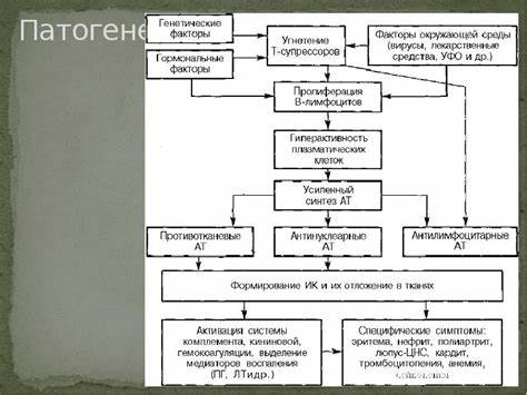 Волчаночный нефрит диета СКВ Волчаночный нефрит СКВ Волчаночный нефрит Волчаночный нефрит диета