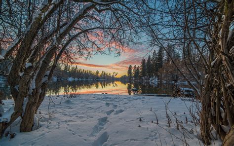 Trees Snow Winter Lake Reflection Sunset Wallpapers Hd Desktop