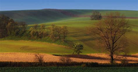 Fondos De Pantalla Pradera Naturaleza Campo Ecosistema Cielo