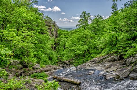 Free Images Landscape Tree Forest Rock Wilderness Mountain