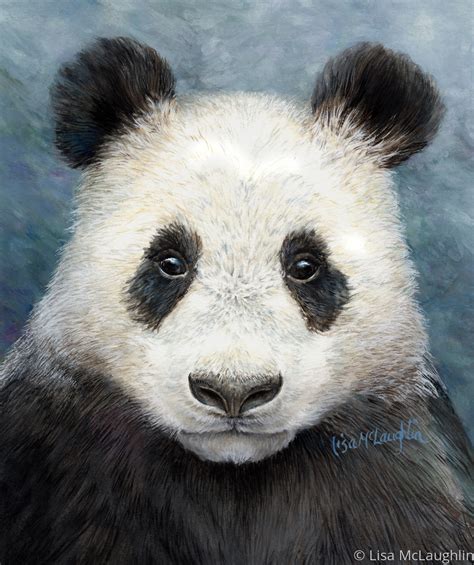Paintings Panda Bear By Lisa Mclaughlin