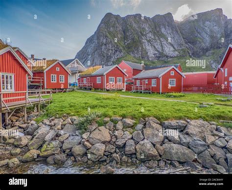 Traditional Red Wooden Houses In Reine Lofoten Norway Europe Stock