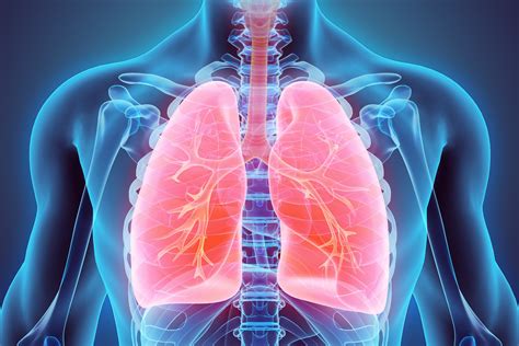 New Computational Technique Reveals Changes To Lung Function Post Covid