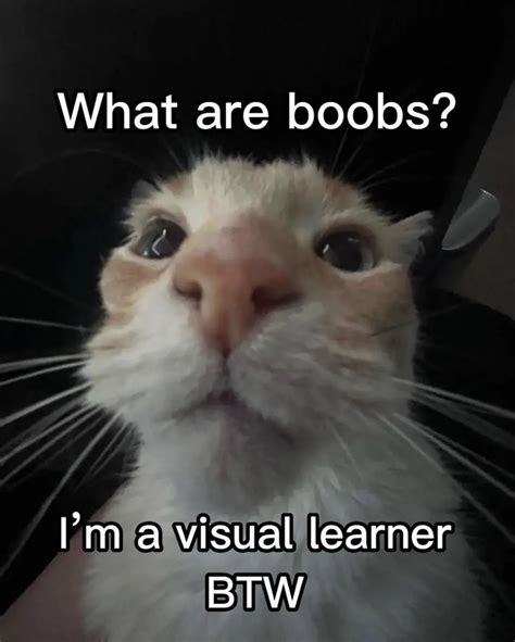Im A Visual Learner Btw Im A Visual Learner Btw Know Your Meme