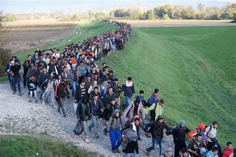 The international crisis group calls for the immediate release of. EU migrant crisis: Serbia, Croatia and Slovenia struggle ...
