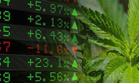 Is Now The Time To Check Out Pot Stocks Transparent Traders