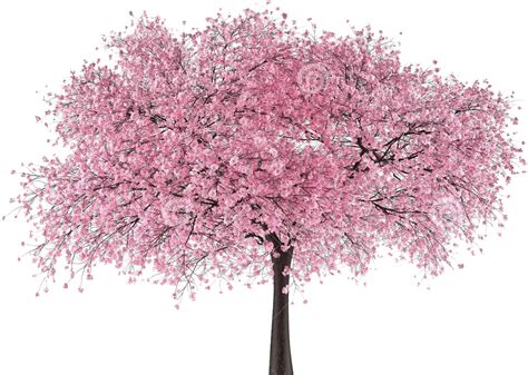 Pink Tree Png PNG Image Collection