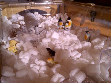 winter sensory table | Sensoriel, Hivernal