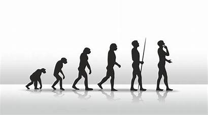 Stories Evolution Humans Modern Society Human Phone