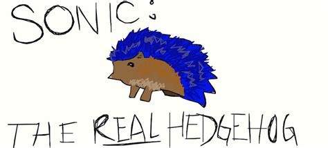 Sonic The Real Hedgehog By Martypunker On Deviantart