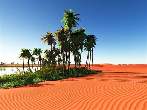 48700 Desert Oasis Stock Photos Pictures And Royalty Free Images Istock