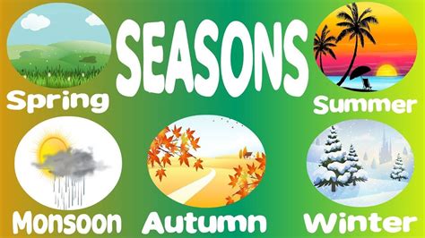 Learn About The Four Seasons In The Year