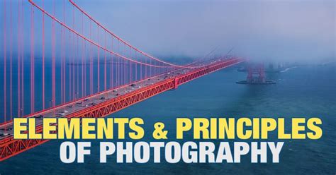 What Are The Elements And Principles Of Photography • Phototraces
