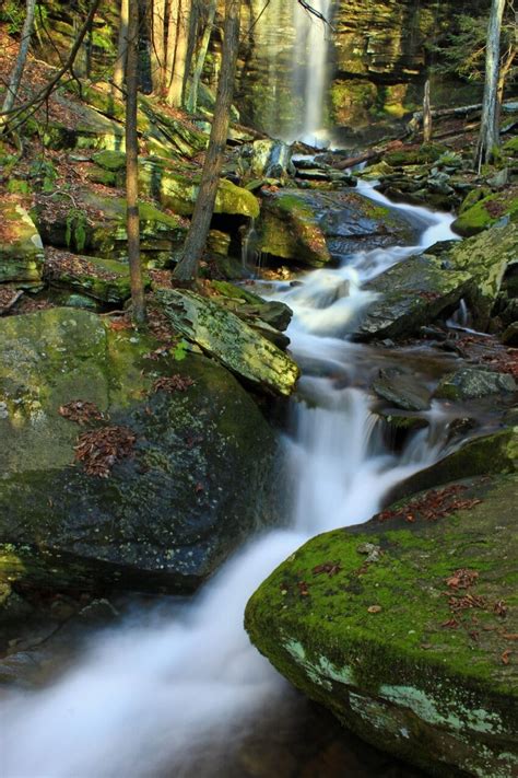 Free Picture Water Waterfall Forest Stream River Moss Creek