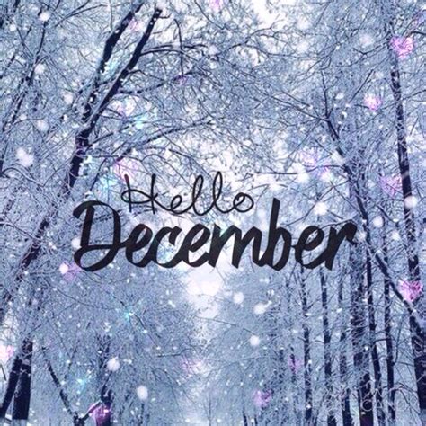 Hello, December! | December quotes, Hello december, Christmas wallpaper