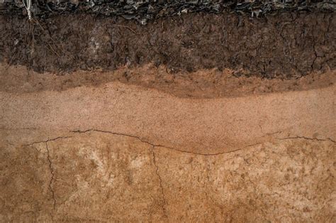 Clayey Soils Explained What To Know Before Building Smartsense