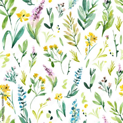 Watercolor Botanical Pattern Floral Background Repeating Pattern