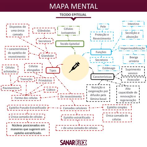 Mapa Mental Sobre Tecido Epitelial