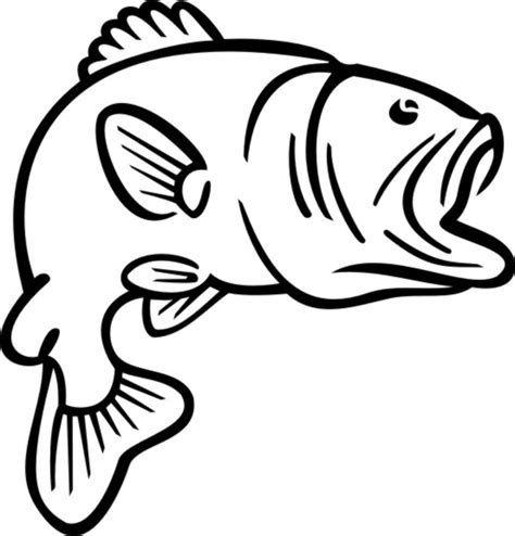 Largemouth Bass Clipart Free Download On Clipartmag