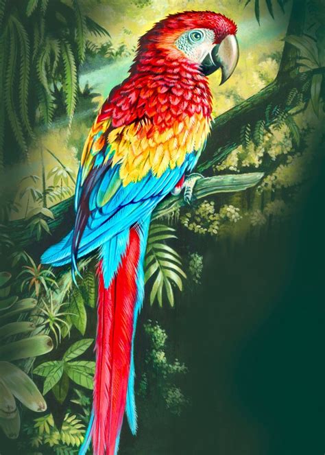 Colourful Acrylic Illustration Of A Rainforest Parrot Poster