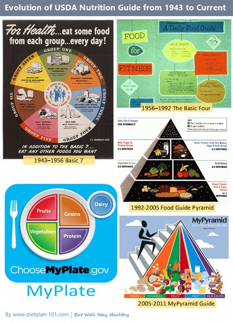 Maybe you would like to learn more about one of these? The Shortcomings of USDA MyPlate | Diet Plan 101