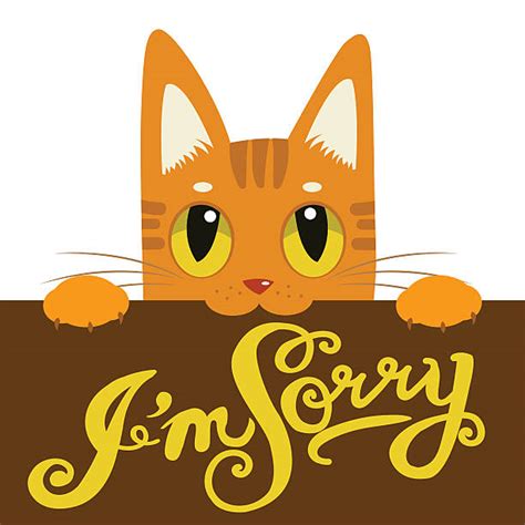 Best Cartoon Of The Cute I M Sorry Illustrations Royalty Free Vector