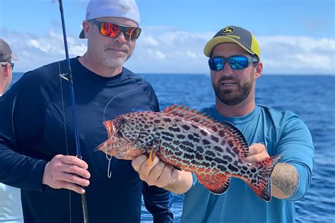 Types Of Grouper In Florida A Comprehensive Guide To Findin Florida