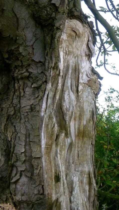 I can tell you for sure that under the hood, the thing is basically a couple of cheap spam filters stringed together. Tree bark