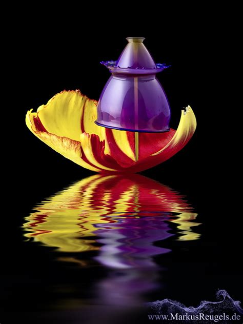 Liquid Art Unseen Beauty Of High Speed Water Drop