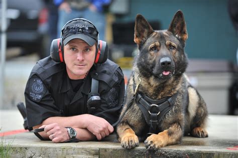 Pictures Of K9 Police Dogs