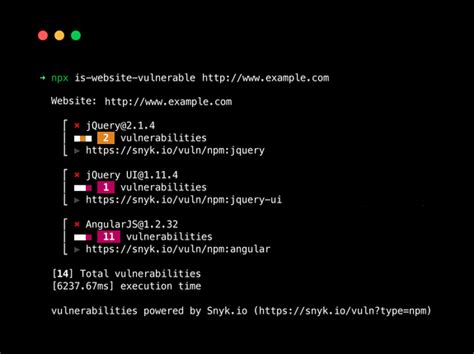 finds publicly known security vulnerabilities in a website's frontend