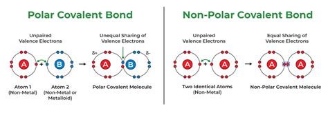 Covalent Bond Definition Examples Types Properties And Faqs