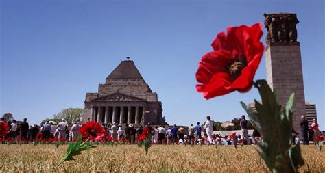 Poppy Flowers Are Placed In Front Of The Shrine Of Remembrance To Mark