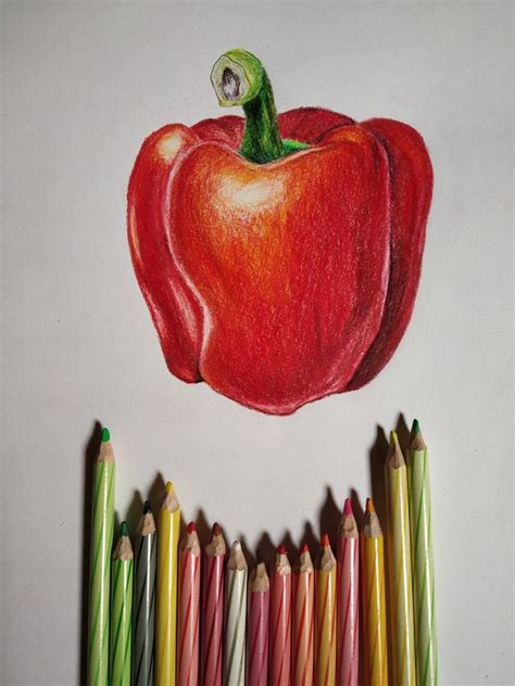 Pin By Rebecca Thompson On Art Things Fruit Art Drawings Colored