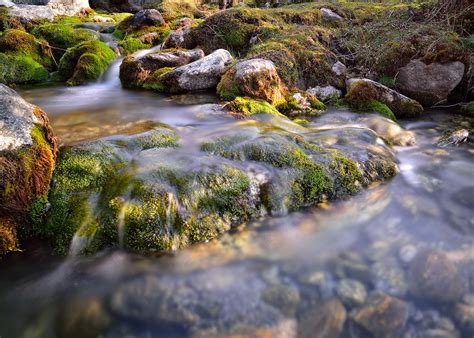 Mossy Stream Langtang National Park Sheikh Izham Flickr