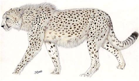 Giant Cheetah By Jagroar On Deviantart Big Cats Art Prehistoric