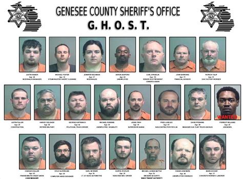 Genesee Co Sheriff Releases Names Pics Of Sex Offenders