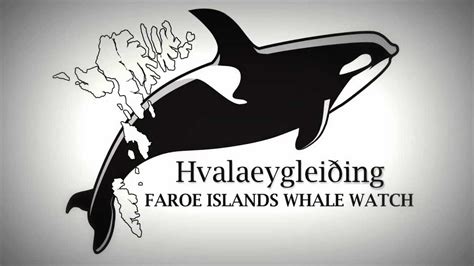 Faroe Islands Whale Watch Hvalaeygleiðing Youtube
