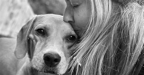 4 Things My Rescue Dog Taught Me About Life Before She Died
