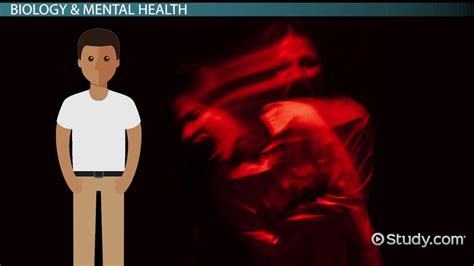 Biological Risk Factors For Mental Illness Overview Examples