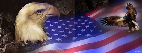 🔥 43 Patriotic Bald Eagle Wallpaper Wallpapersafari