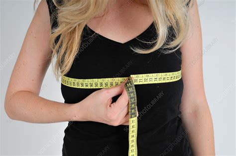 Woman Measuring Her Bust Stock Image F Science Photo Library