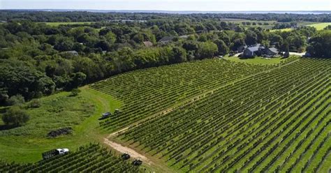 Absolute Best Long Island Wine Tours The Long Island Local